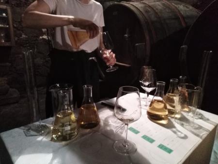 Postani vinar za en dan 15